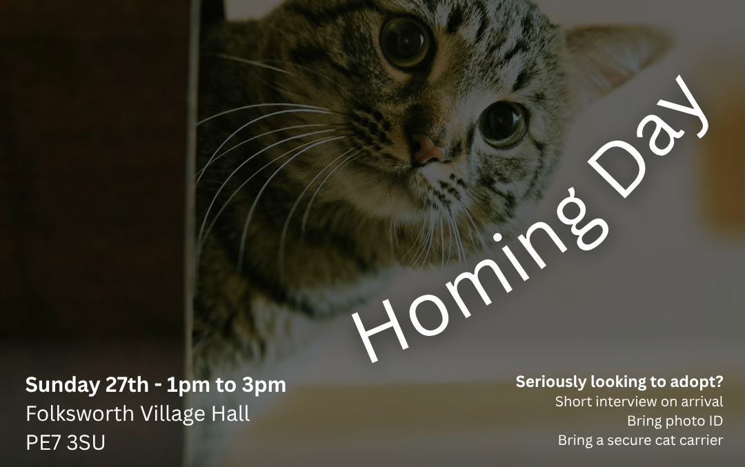 Homing Day Banner