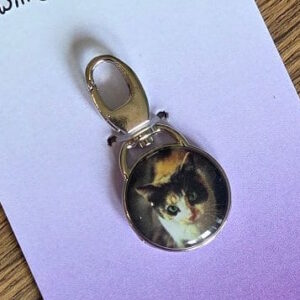 Calico Cat